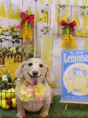 20240404テヤンくん